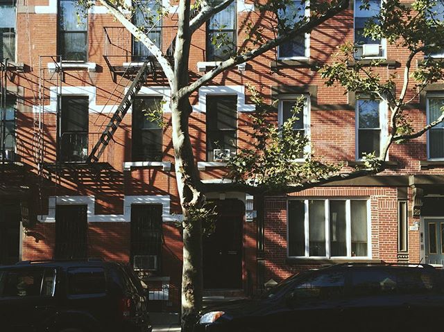The Local’s Guide to Carroll Gardens, Brooklyn