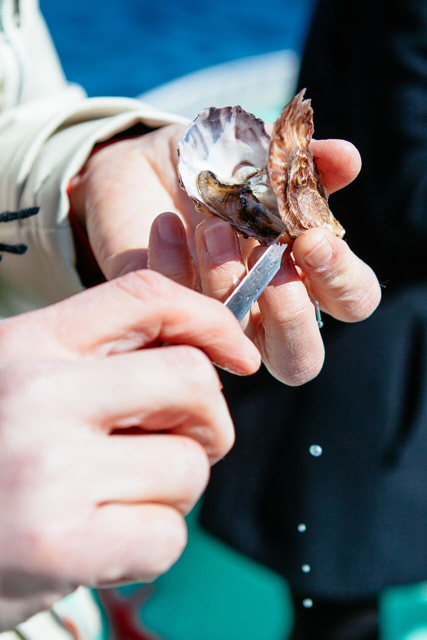 An "Oyster Sommelier" on the Best Oysters Around the World
