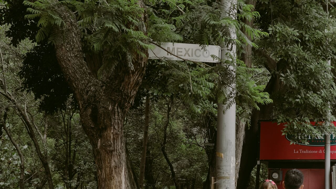 Where to Find Mexico City’s Best Street Food