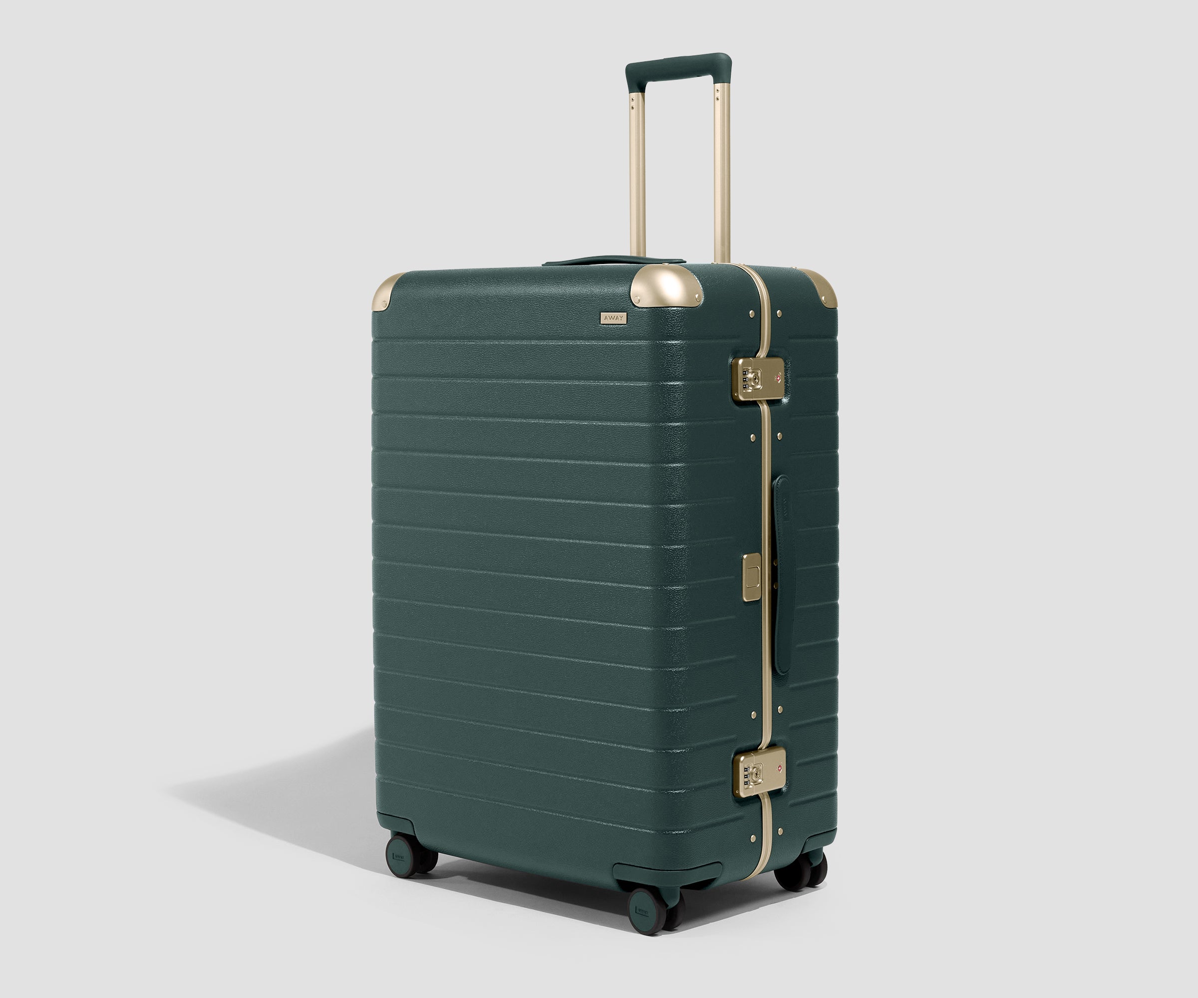 The Aluminum Edge Large in Ivy Green