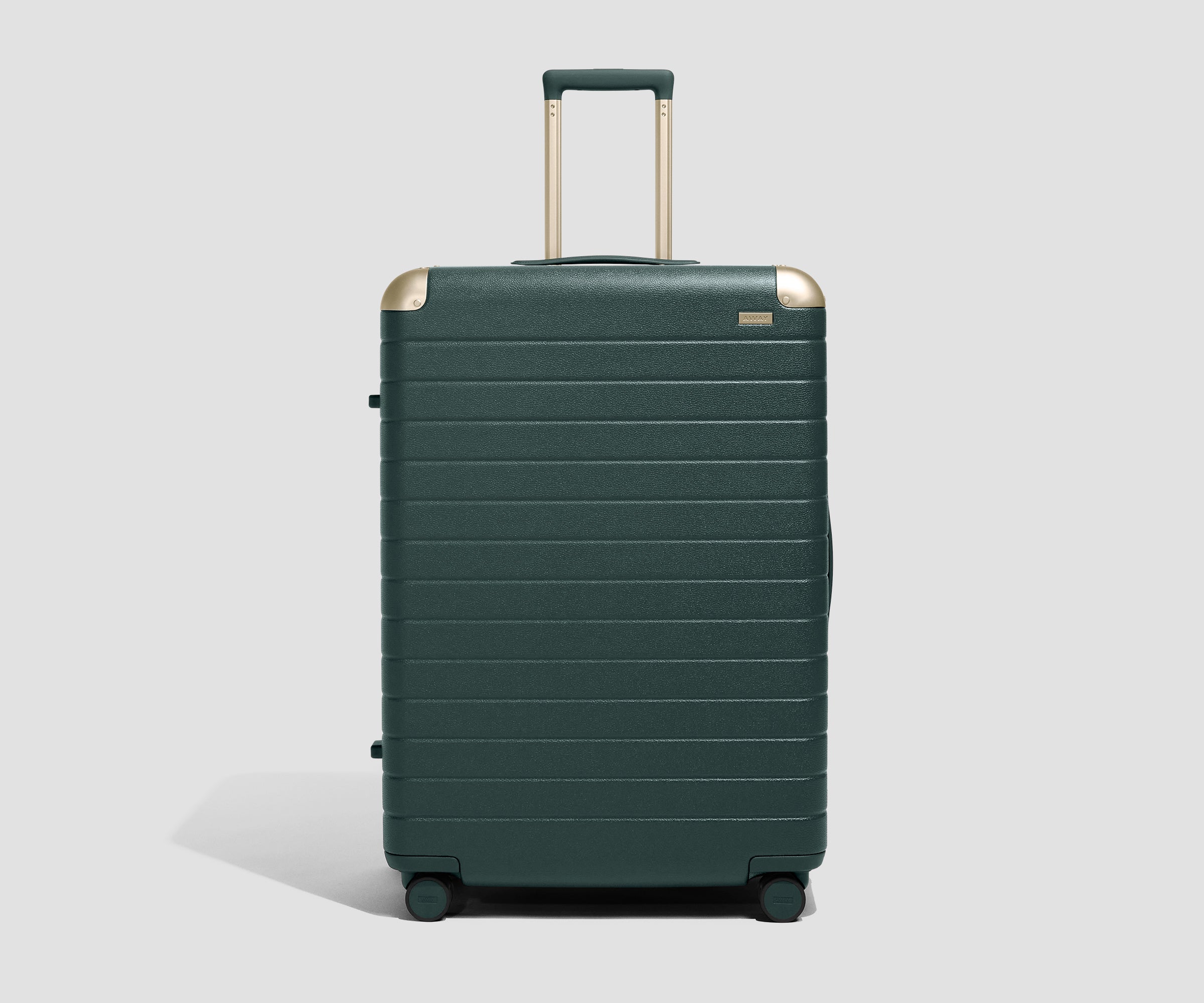 The Aluminum Edge Large in Ivy Green