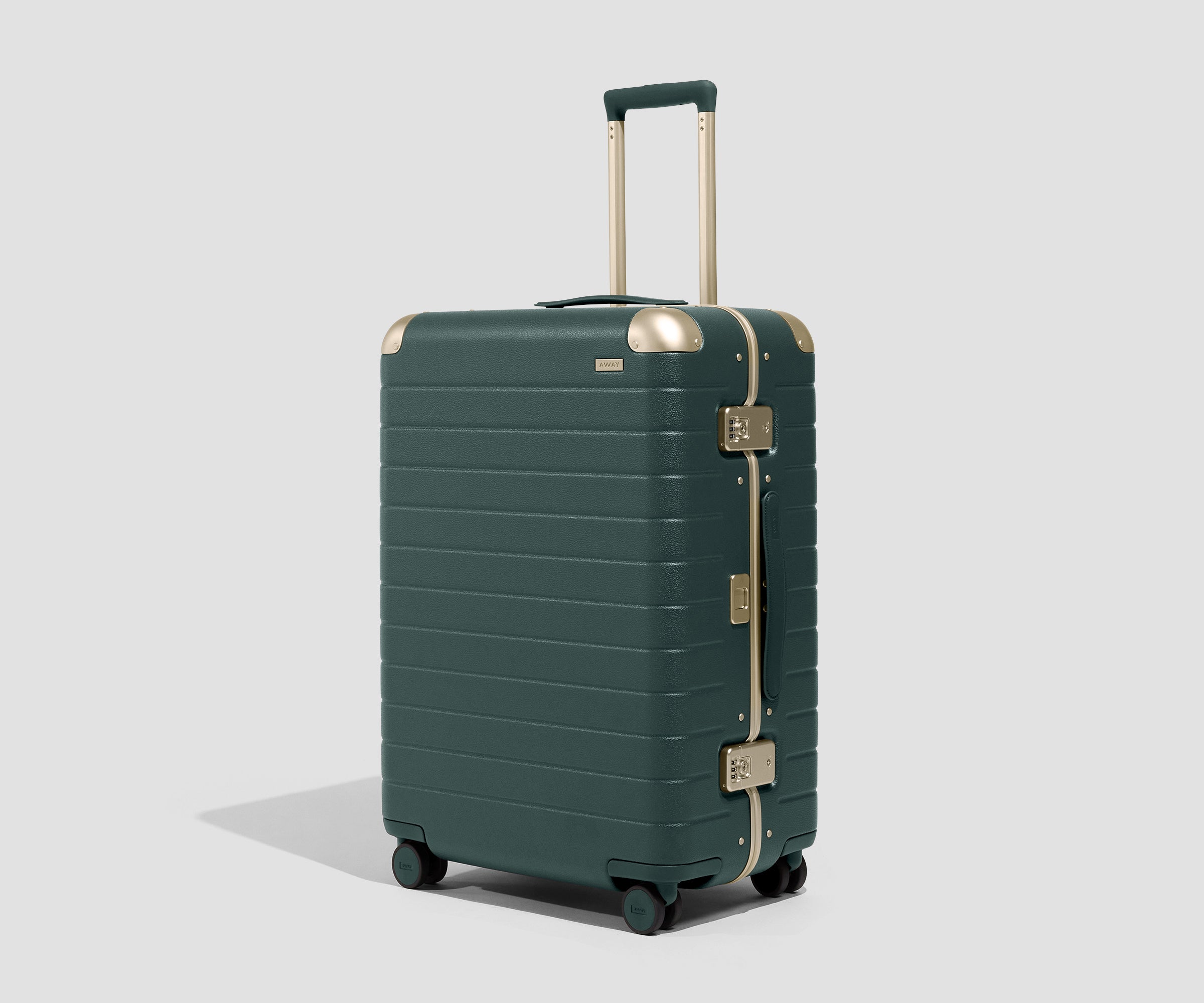 The Aluminum Edge Medium in Ivy Green