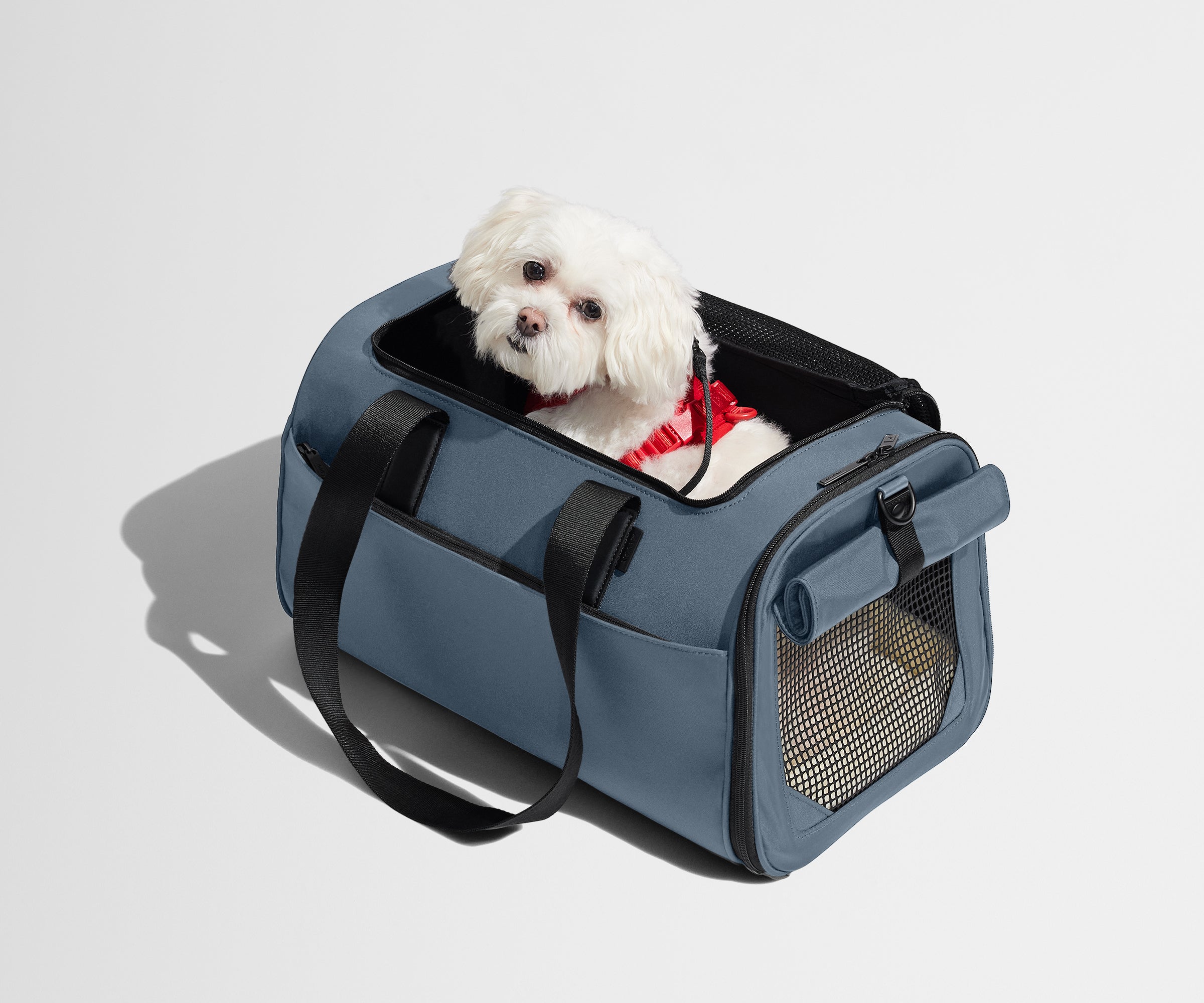 The Pet Carrier in Coast Blue
