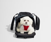 The Pet Carrier in Coast Blue