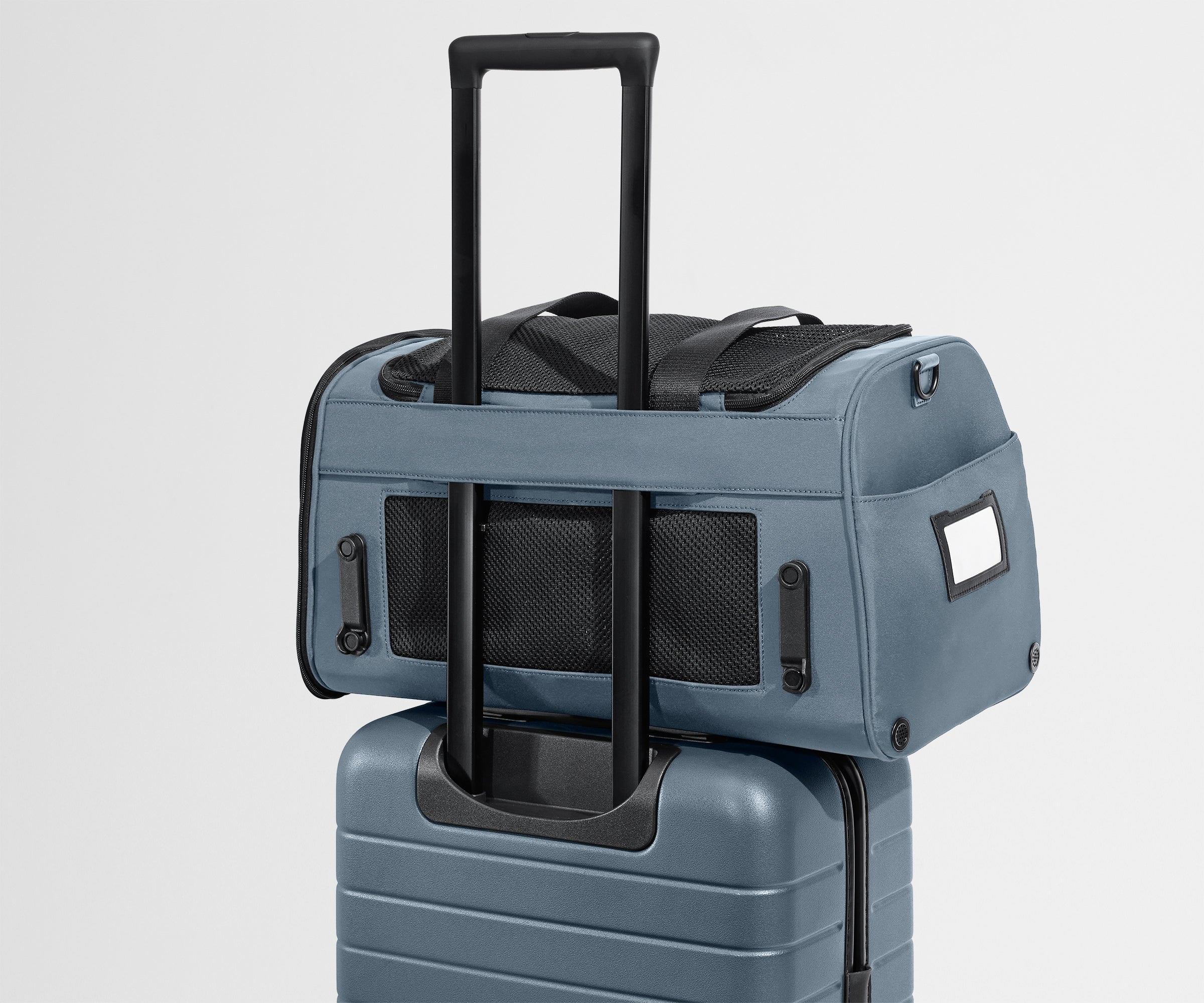 The Pet Carrier in Coast Blue