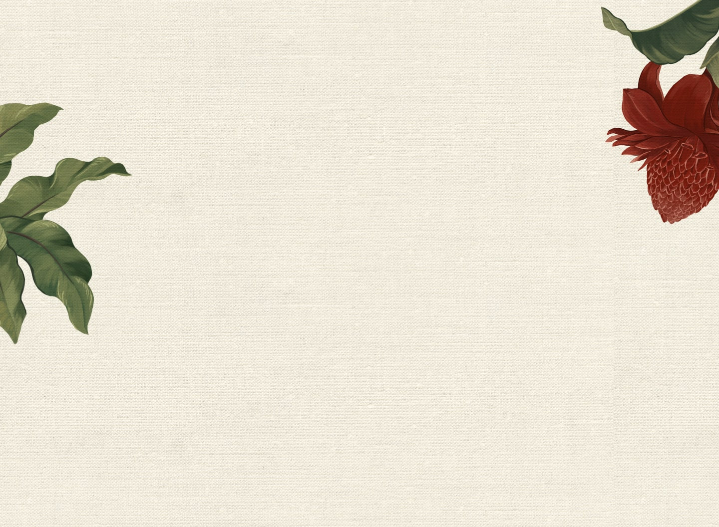 The Away White Lotus Collection on a raffia-textured background with tropical illustrations