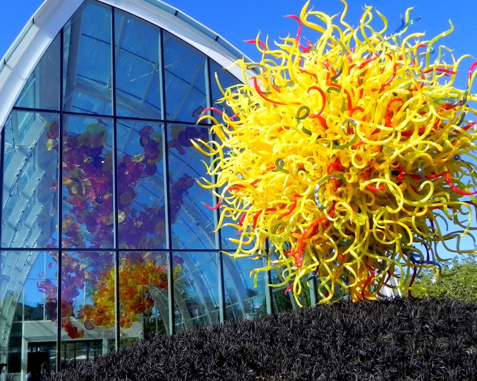Where to See Art in Seattle, According to the Deputy Director of Chihuly Garden and Glass