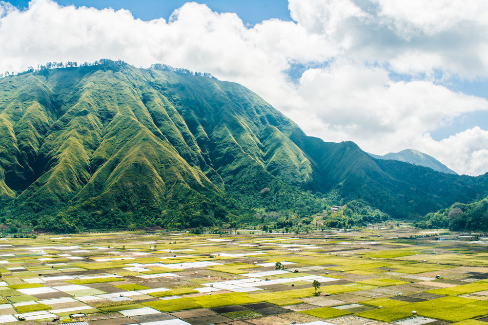 The Local's Guide to a Perfect Week in Lombok, Indonesia