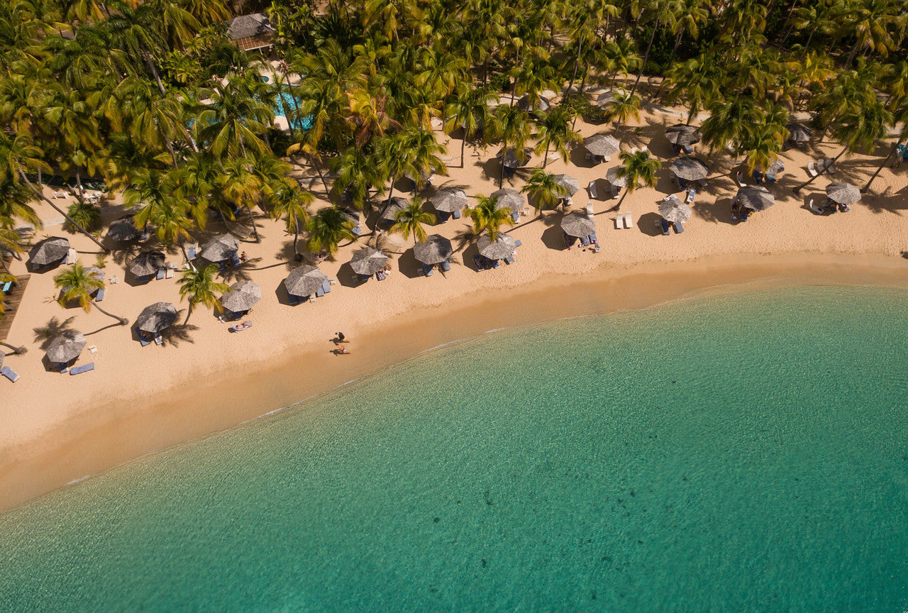 Experience Antigua Like a Local with Coco Shop Owner Taylor Simmons