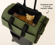 The Pet Carrier in Olive Green