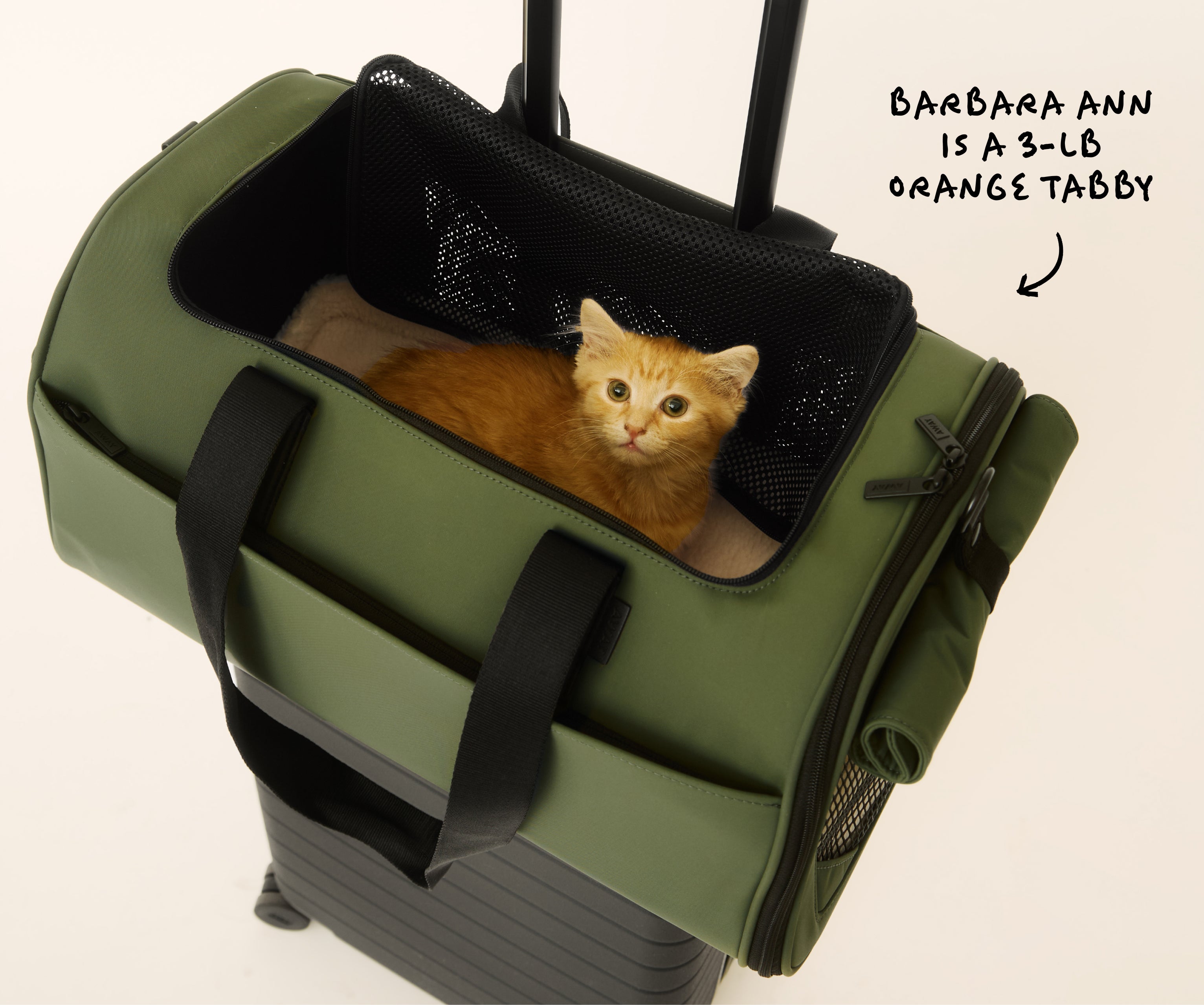 The Pet Carrier in Olive Green