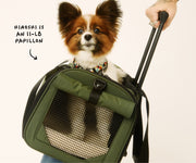 The Pet Carrier in Olive Green