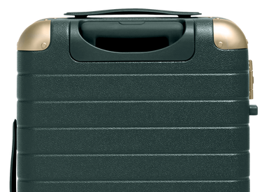 The Aluminum Edge Bigger Carry-On in Ivy Green