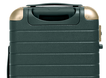 The Aluminum Edge Carry-On in Ivy Green