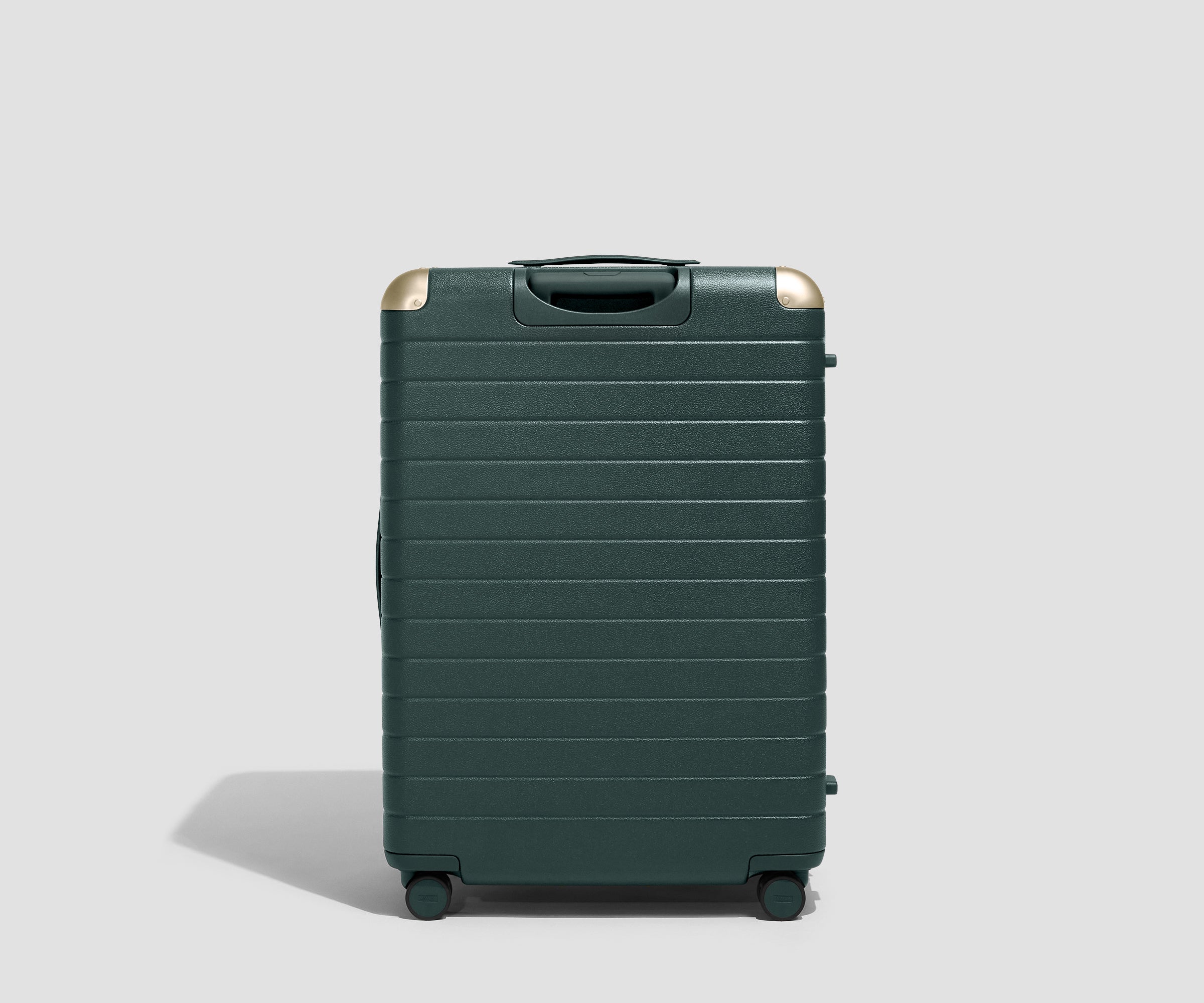 The Aluminum Edge Large in Ivy Green