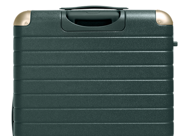 The Aluminum Edge Large in Ivy Green