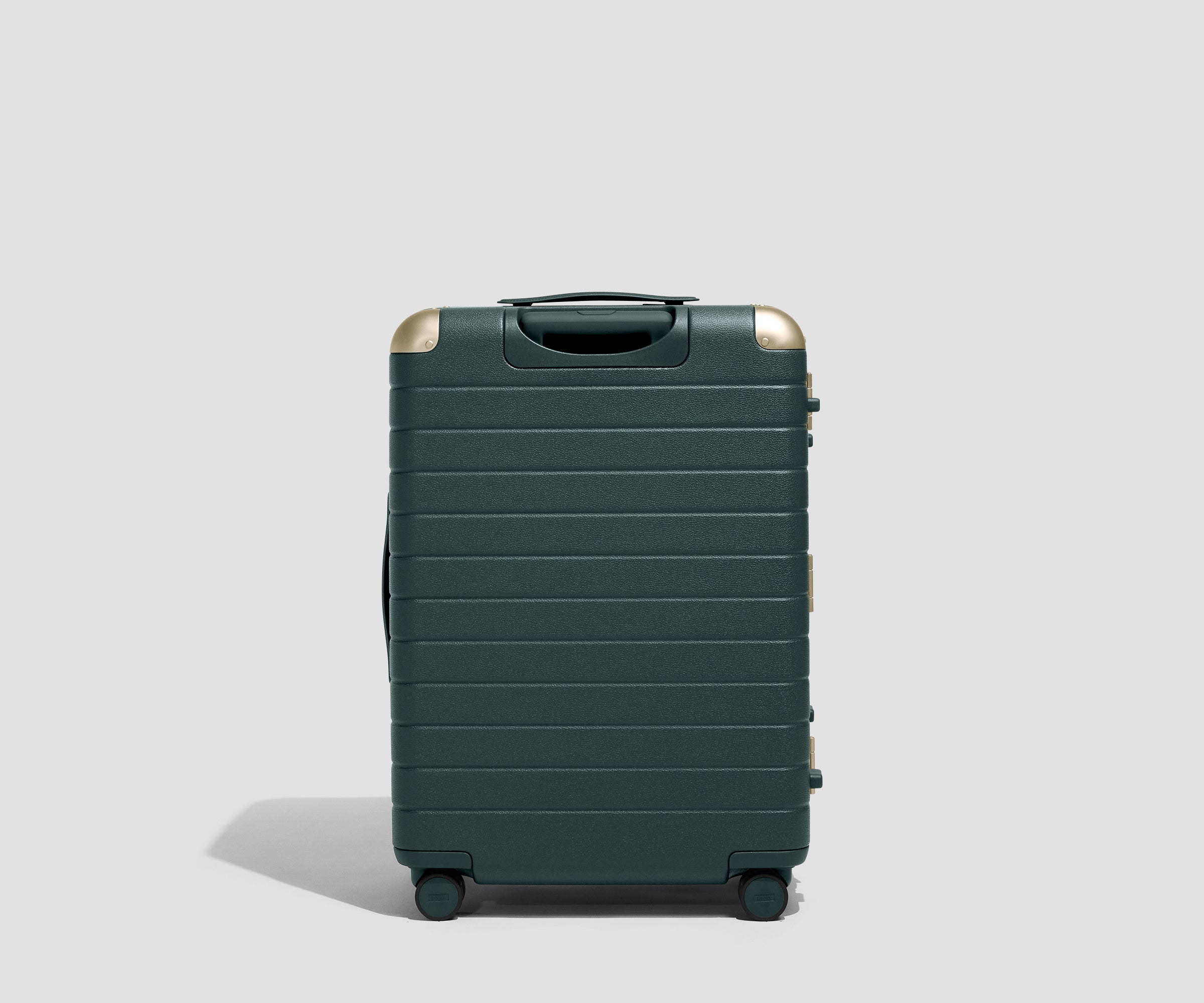 The Aluminum Edge Medium in Ivy Green