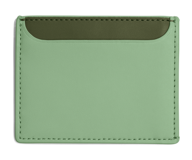 Card Case in Sea Green