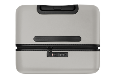 The Trunk in Cloud Gray