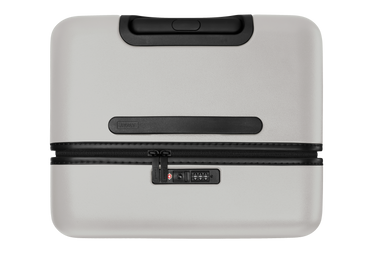 The Trunk in Cloud Gray