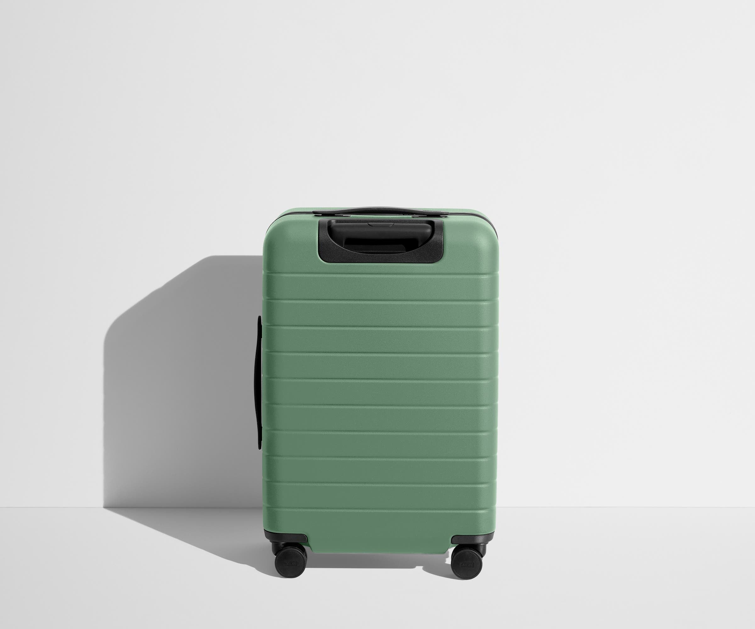 Back product view of The Bigger Carry-On Flex suitcase in Sea Green