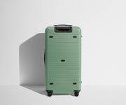Back product view of The Trunk suitcase in Sea Green