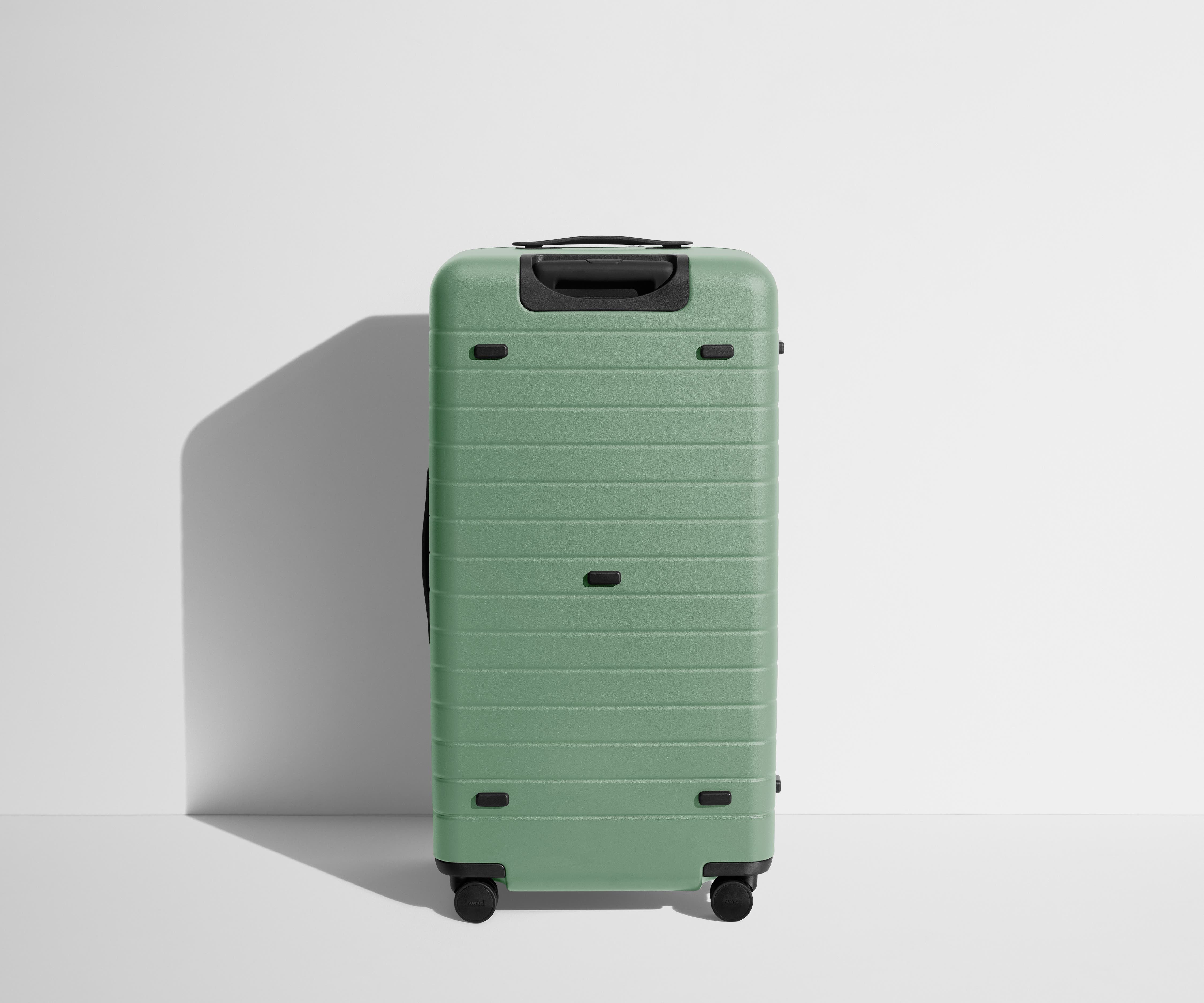 Back product view of The Trunk suitcase in Sea Green
