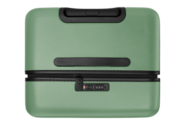 The Trunk in Sea Green