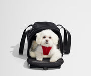 The Pet Carrier in Jet Black
